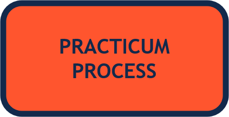 Practicum Process_Orange